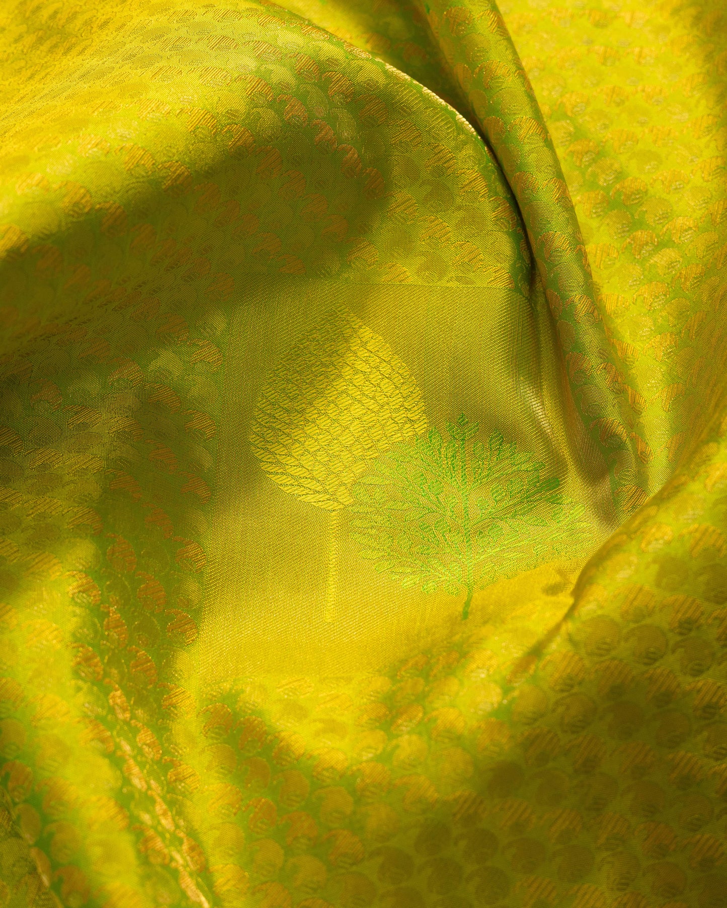 Yellowish Parrot Green With Rani Pink Pallu Kanchivaram Pure Soft Silk Saree