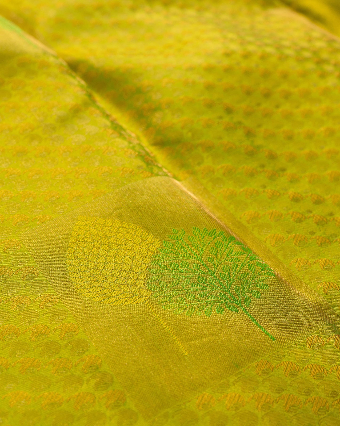 Yellowish Parrot Green With Rani Pink Pallu Kanchivaram Pure Soft Silk Saree