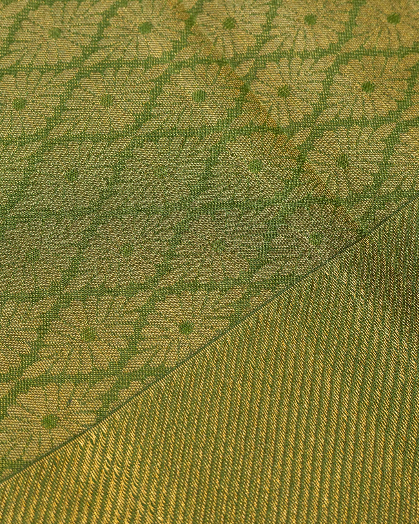 OLIVE GREEN BORDER WITH BODY TASER COLOUR