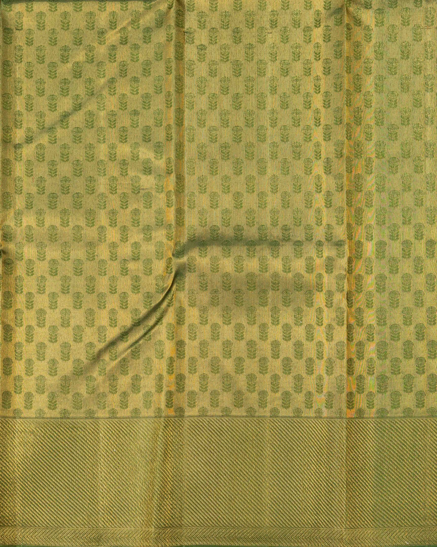 OLIVE GREEN BORDER WITH BODY TASER COLOUR