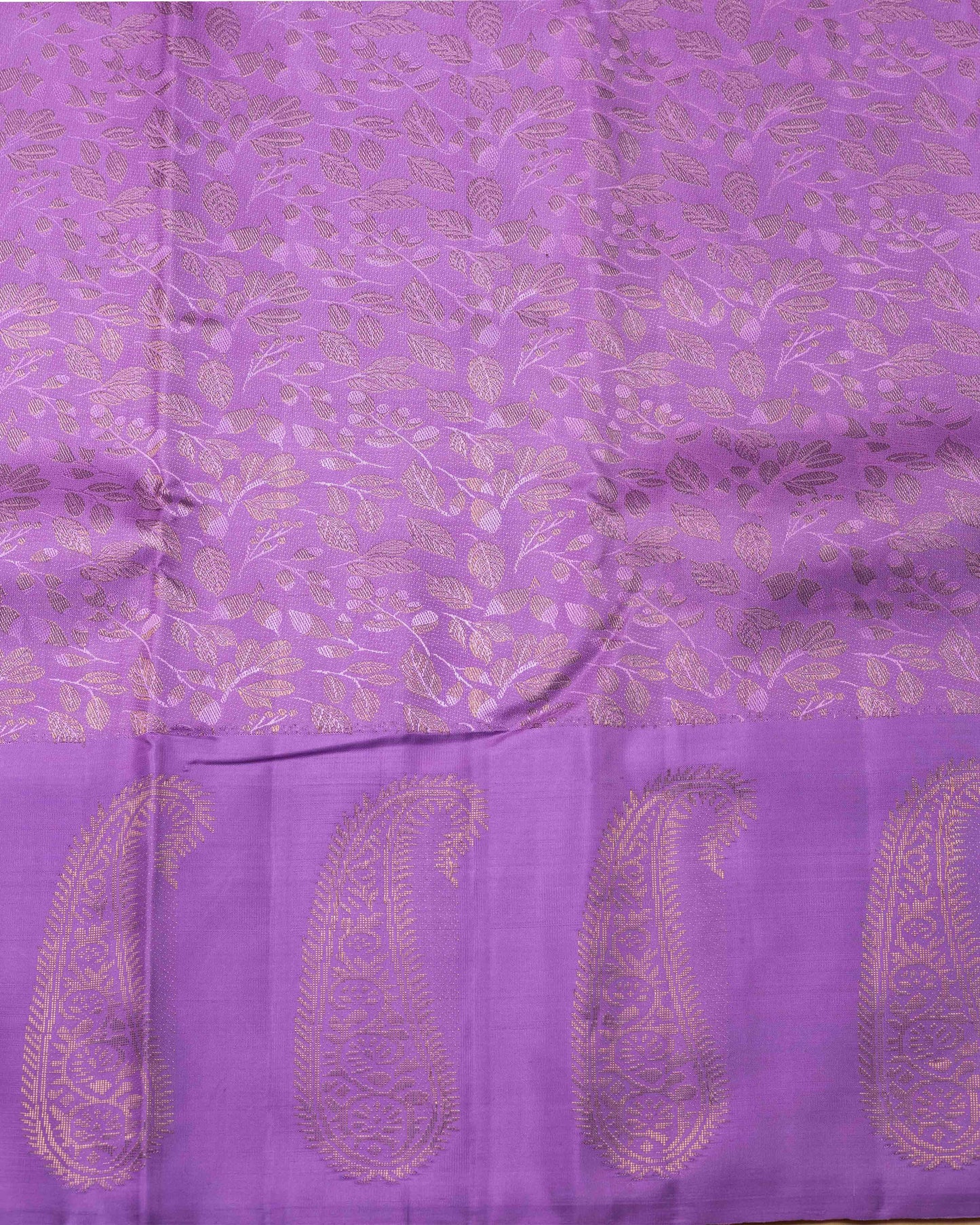 SELF LILAC COLOUR BODY