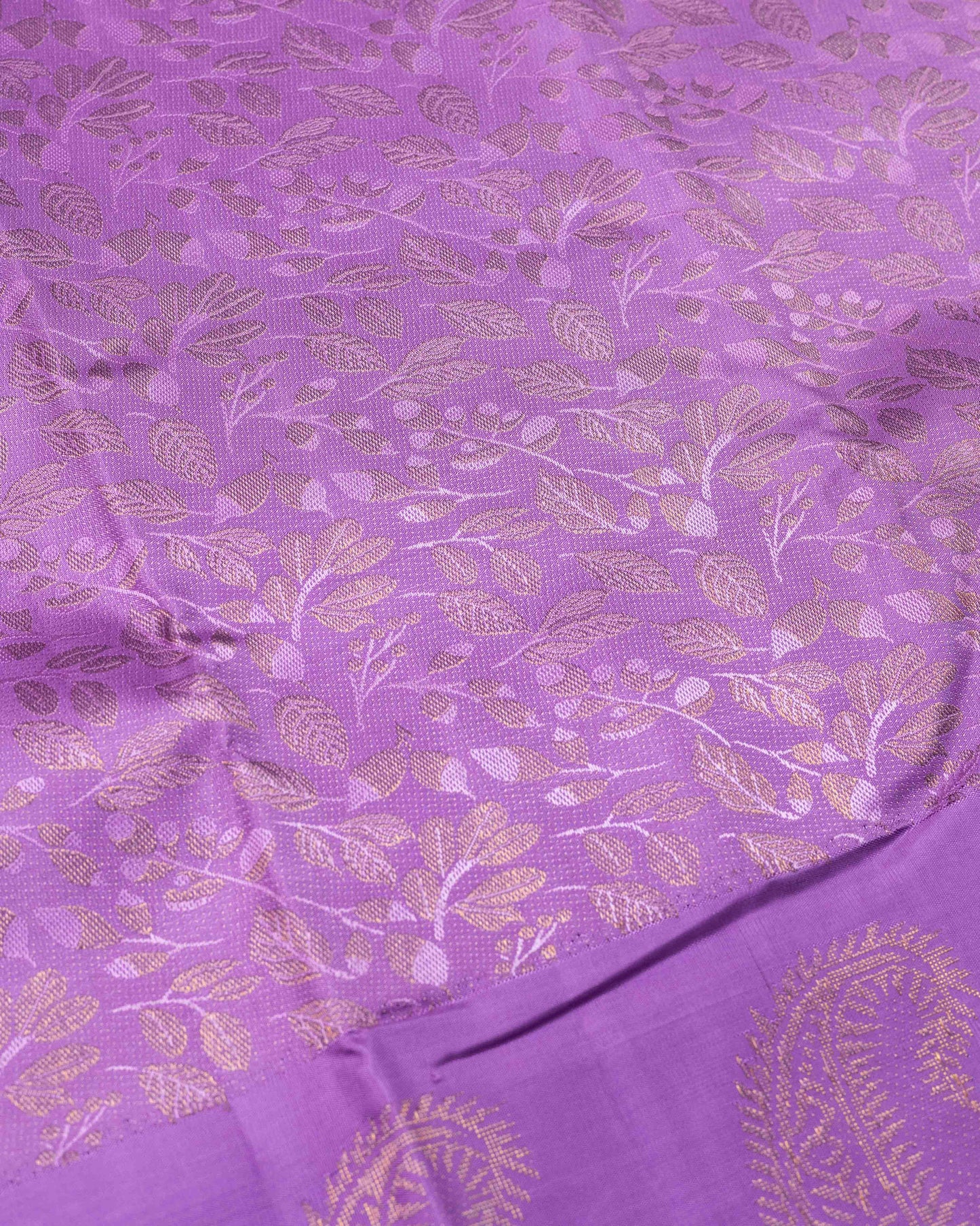 SELF LILAC COLOUR BODY