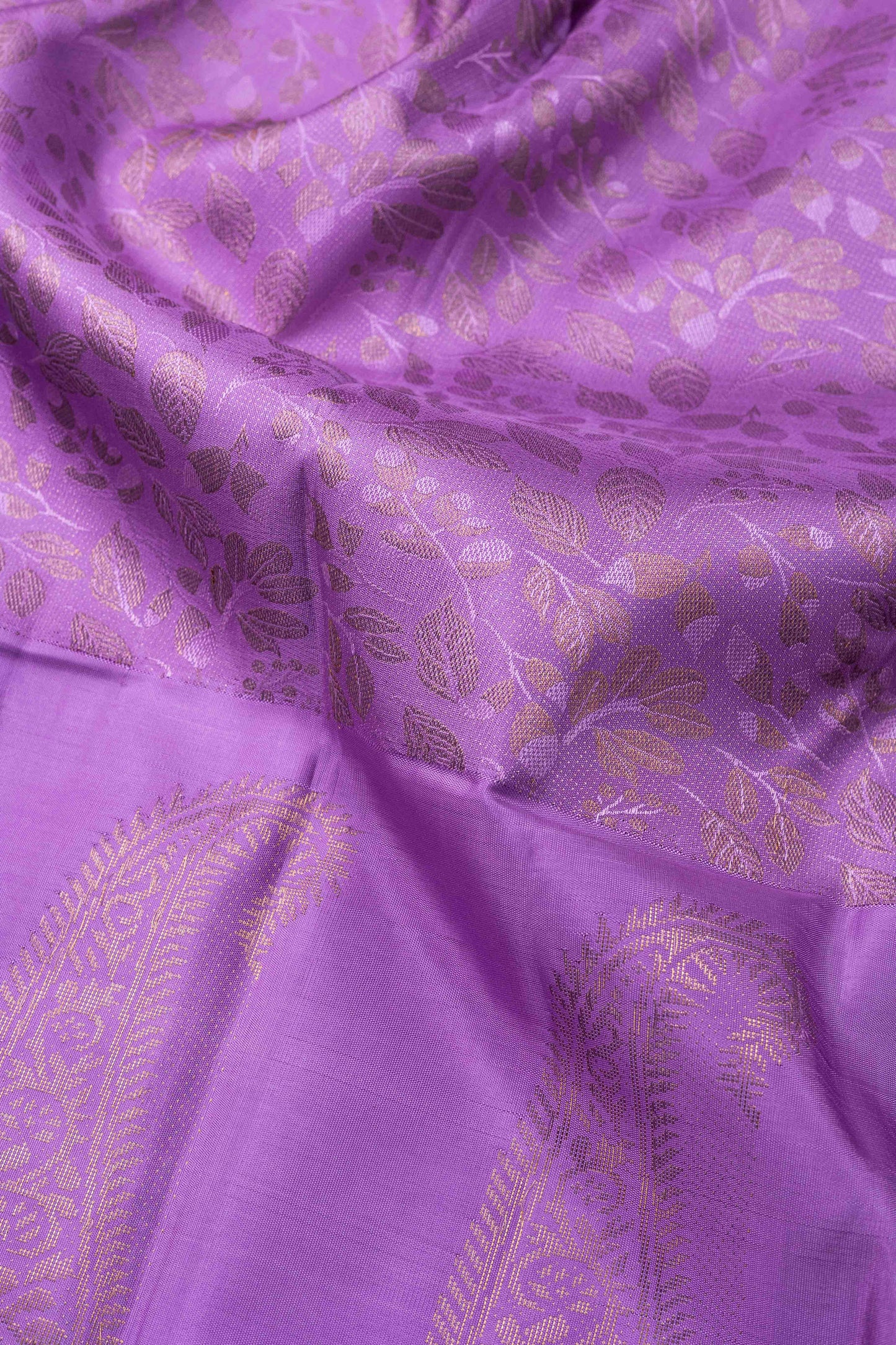 SELF LILAC COLOUR BODY